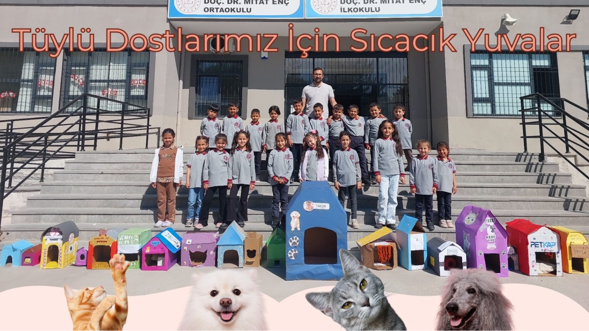 1-B Sınıfı'ndan Sokak Hayvanlarına Korunaklı Yuvalar!